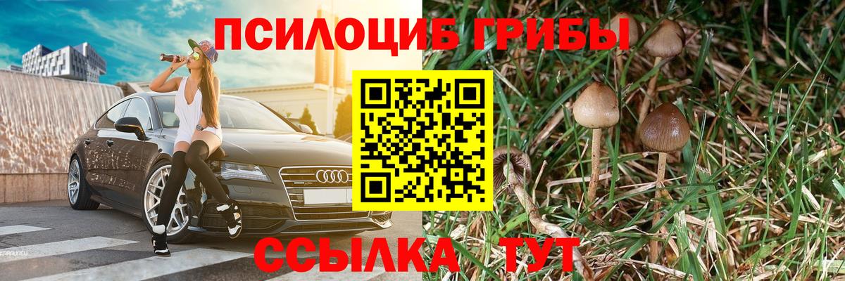 Псилоцибиновые грибы мицелий  Псилоцибиновые грибы GOLDEN TEACHER  цена наркотик  Юрга  Вход с VPN 