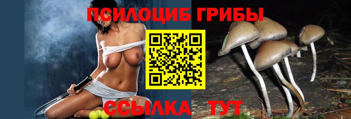 Галлюциногенные грибы мицелий Юрга