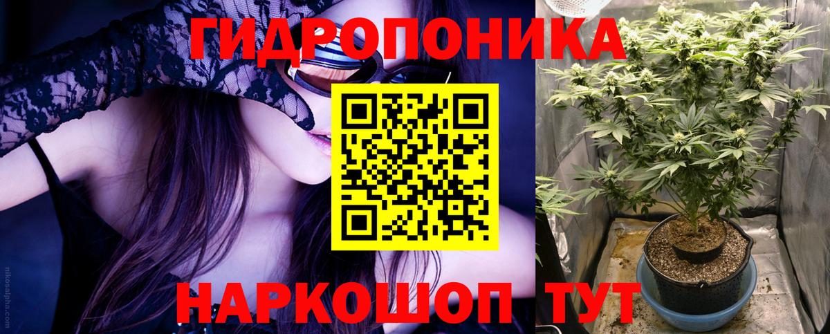 Юрга  МАРИХУАНА Ganja  Вход с VPN  Каннабис сатива 